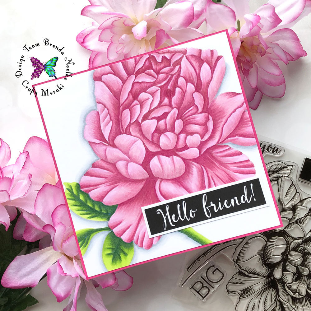 Hello Gorgeous Friend!