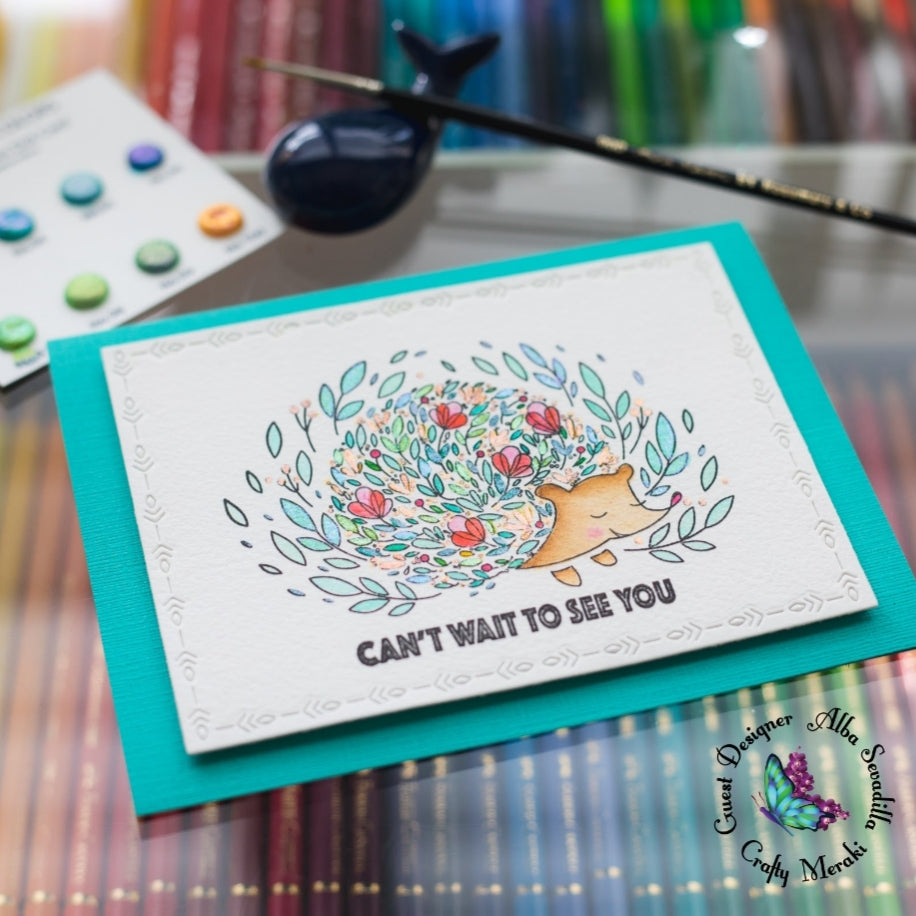 Can't wait to see you- Guest post by Alba