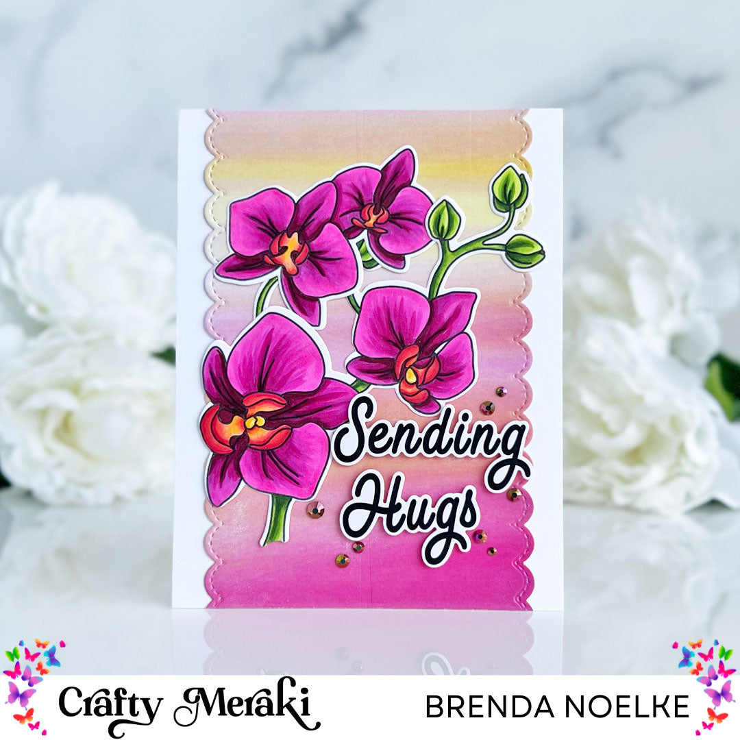 Sending Hugs by Brenda - Orchid Opulence