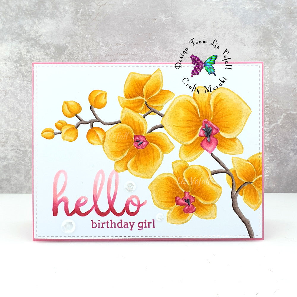 For the love of Orchids