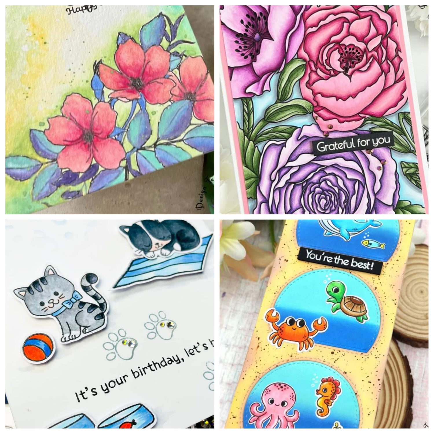 #merakisummer release Sneak peeks day 3