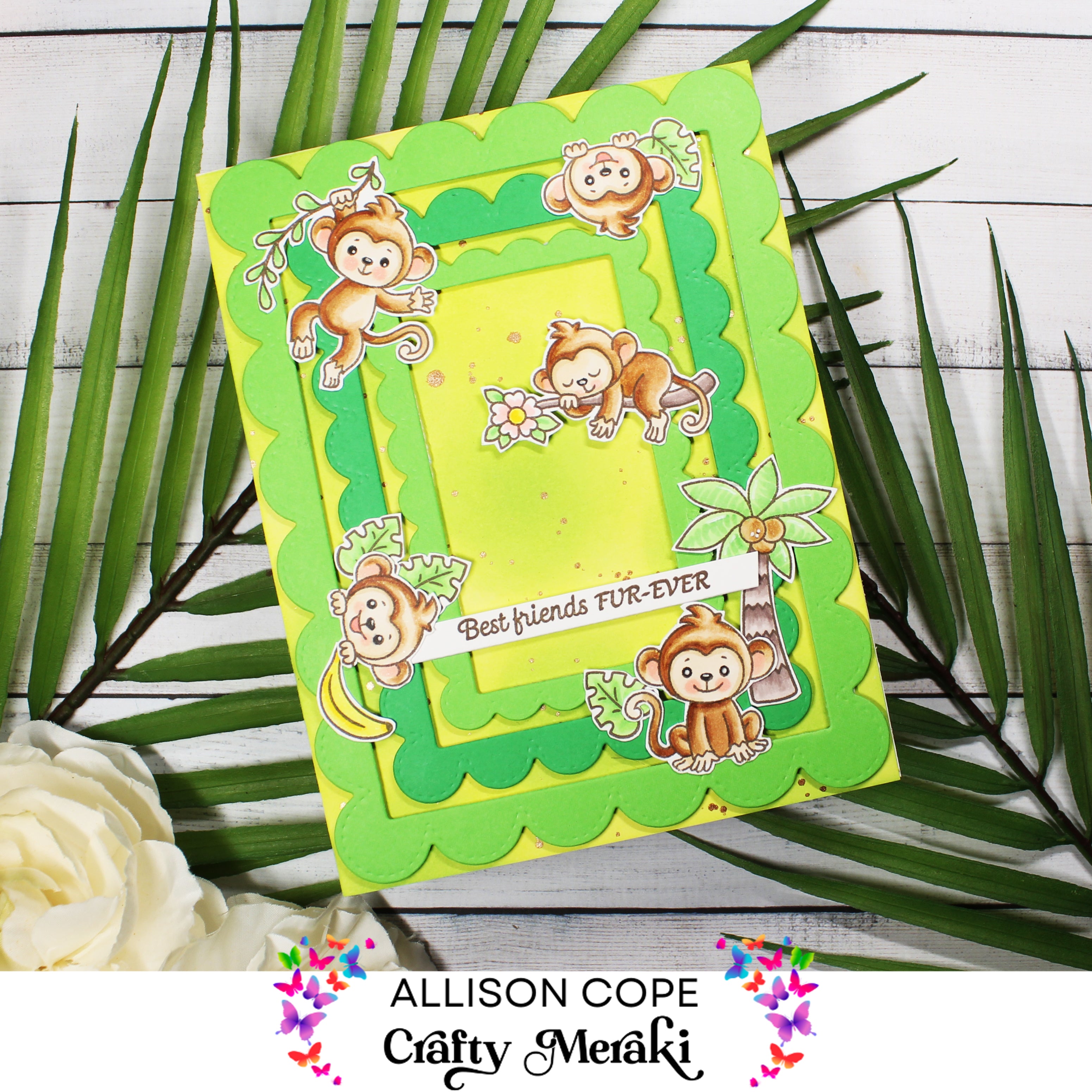 Crafty Meraki A2 Timeless Frames Para-Dies