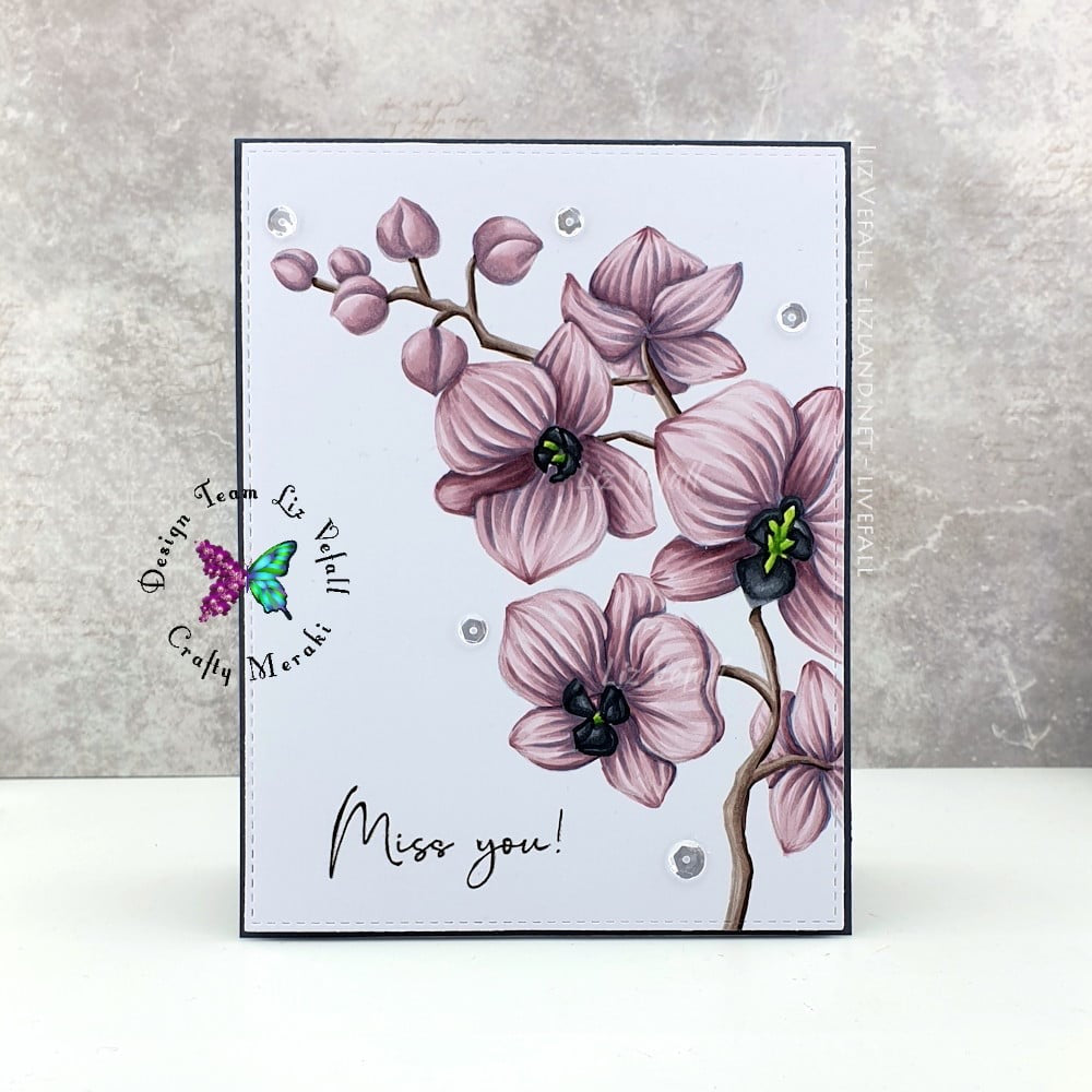 Crafty Meraki Colorado Craft Co Collaboration - CC101 CCC& CM Orchids - Crafty Meraki