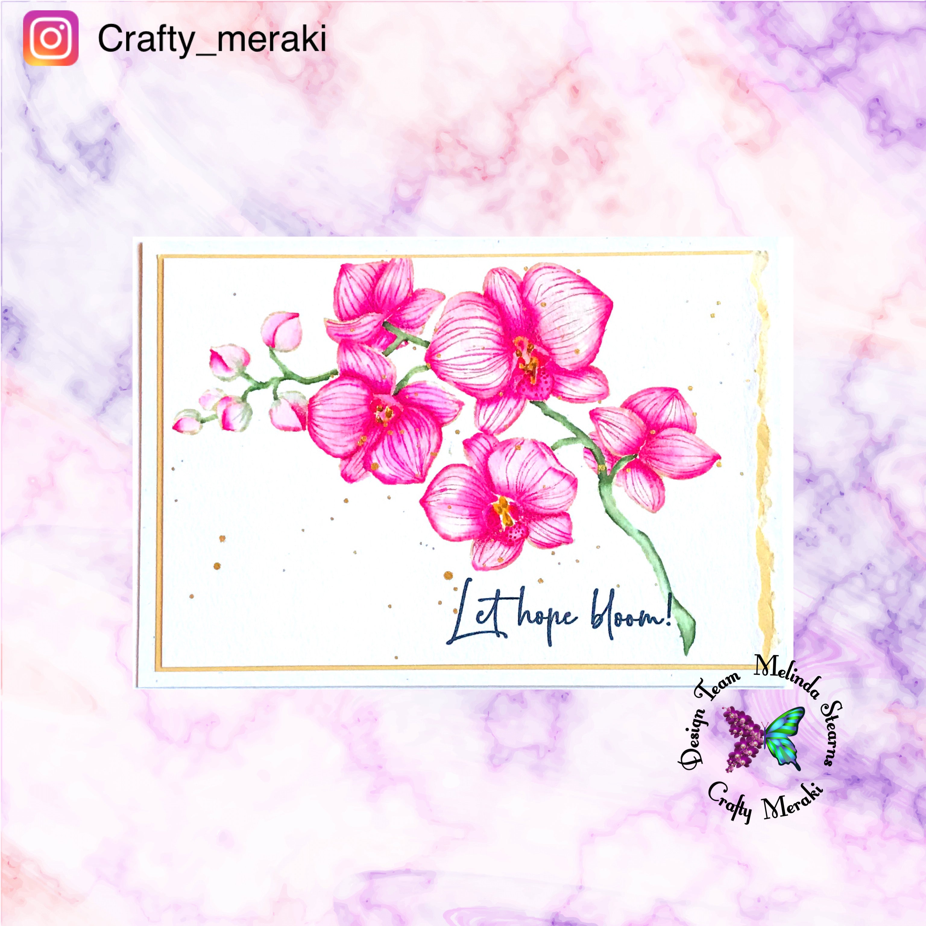 Crafty Meraki Colorado Craft Co Collaboration - CC101 CCC& CM Orchids - Crafty Meraki