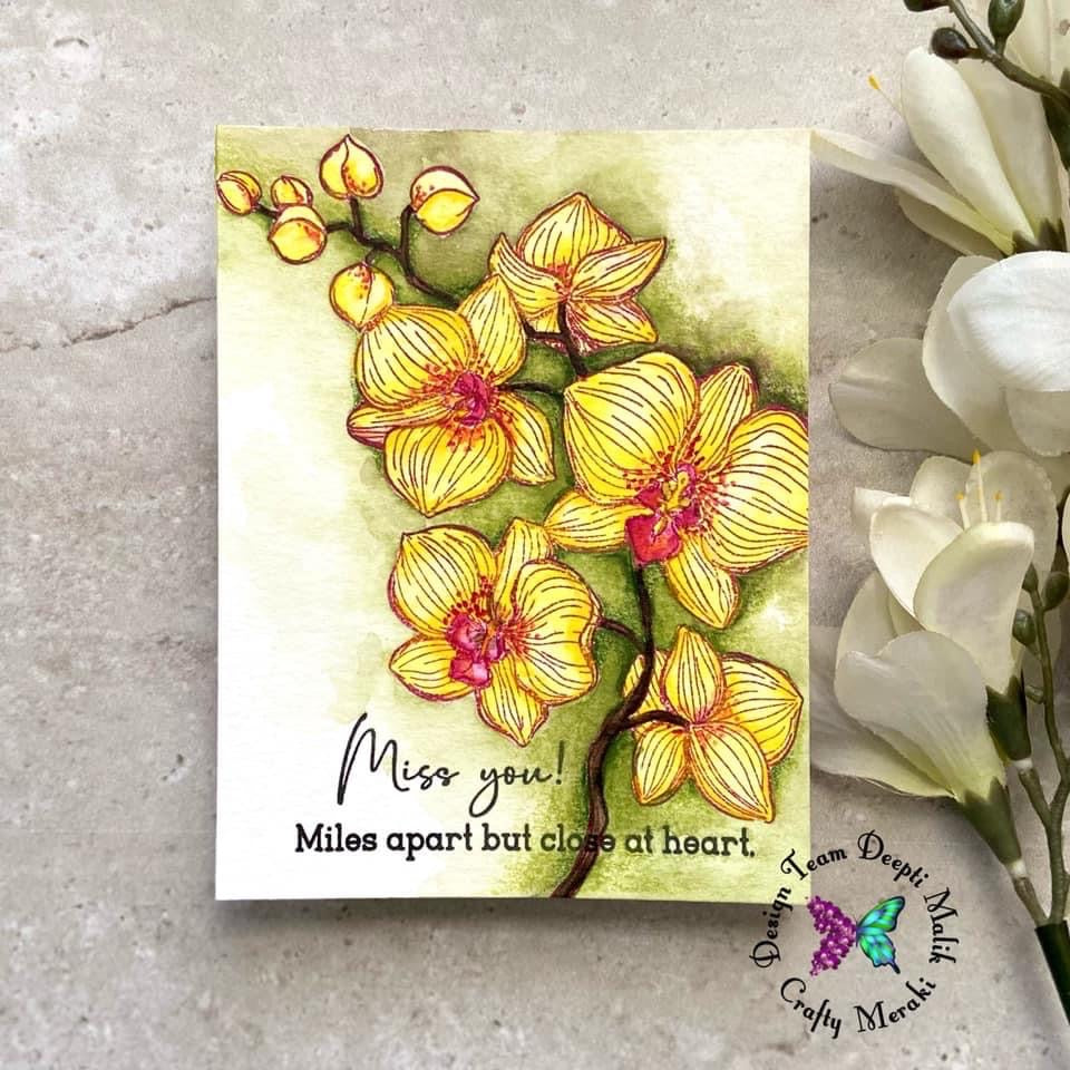 Crafty Meraki Colorado Craft Co Collaboration - CC101 CCC& CM Orchids - Crafty Meraki