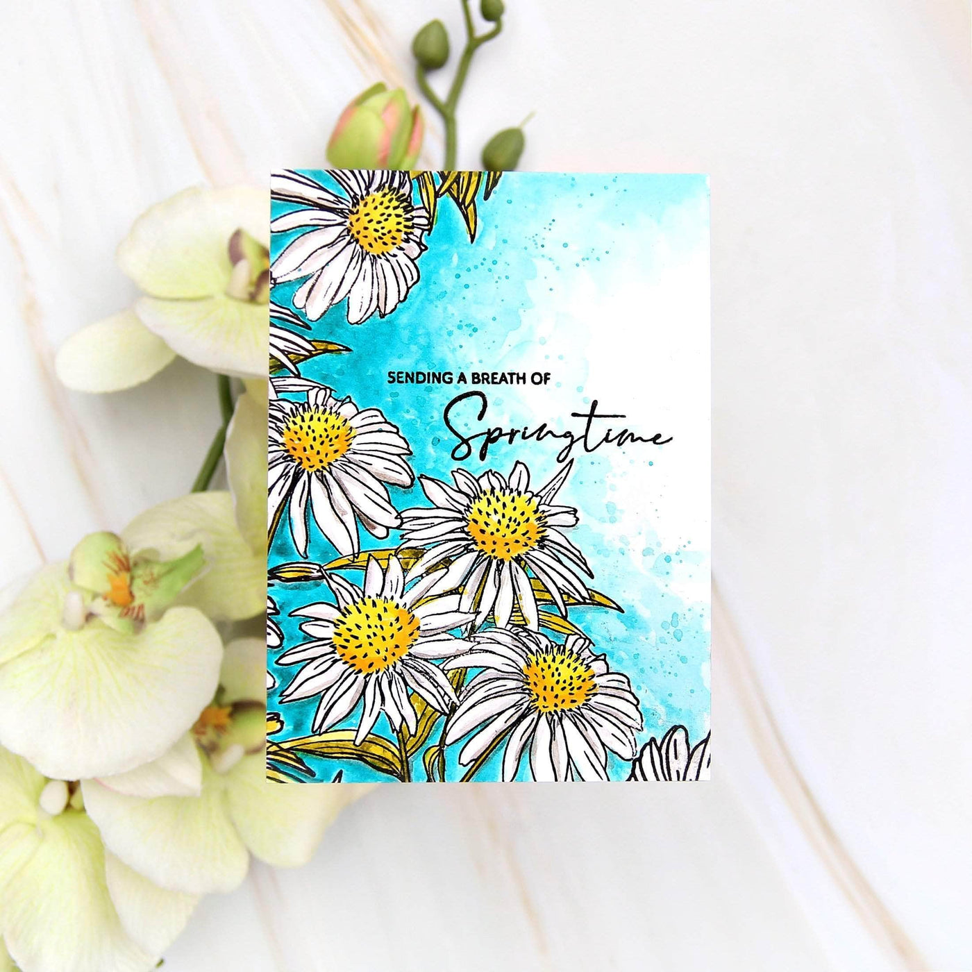 Altenew Paint-A-Flower: White Swan Echinacea Outline Stamp Set - Crafty Meraki