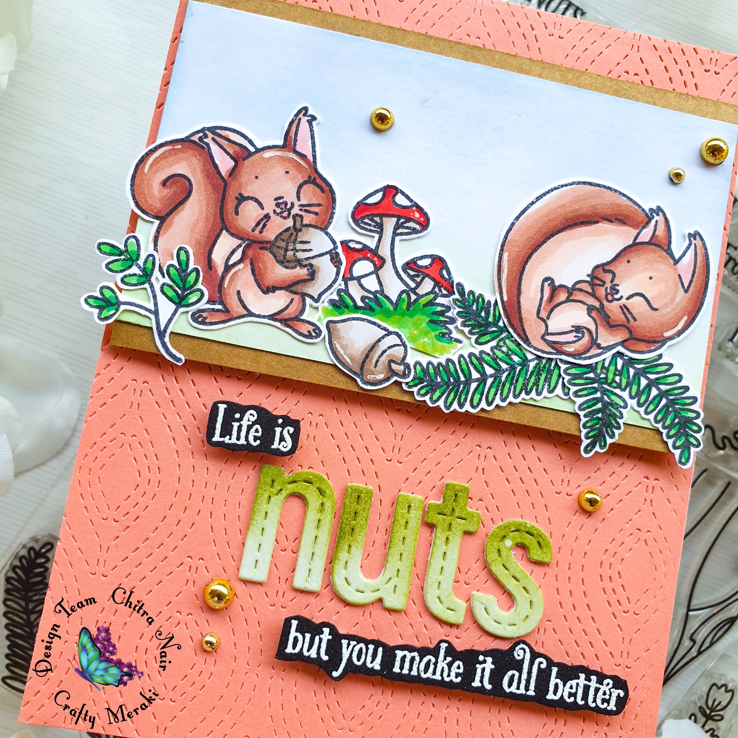 Life is nuts by Chitra