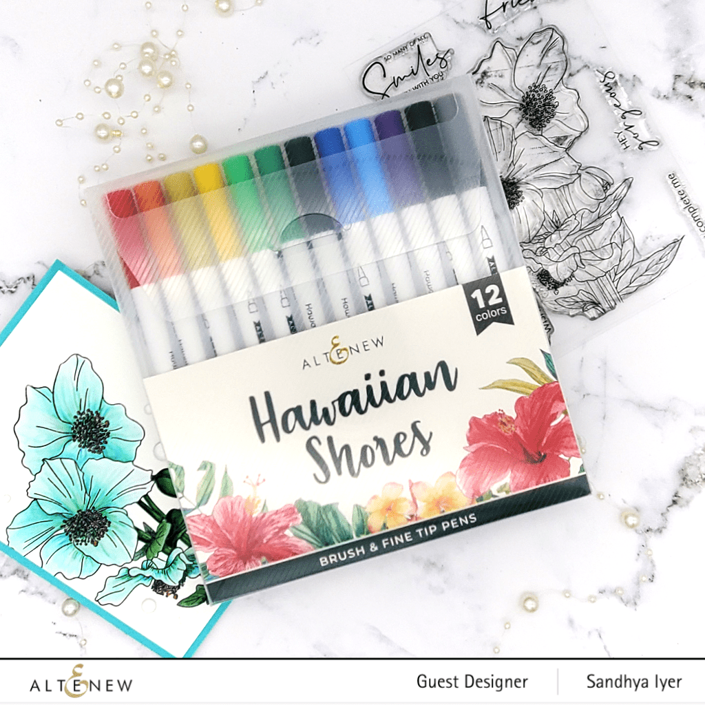 Hawaiian Shores Dual Tip Pens (Water-based)
